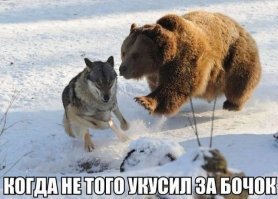 Картинки с надписями для настроения