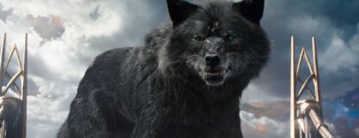 Ой, не зарекайся. На любой бочок найдётся волчок