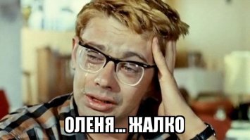 Туристы сняли на видео, как четырехметровый питон проглатывает оленя