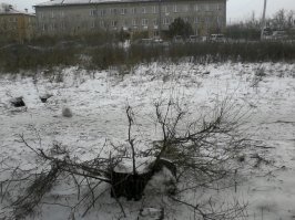 тут кот есть. просто его найти  непросто.