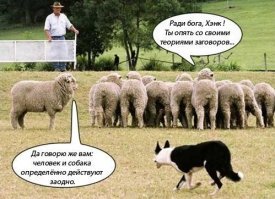 Стадное чувство или закон «5-ти процентов»