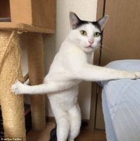 Надо следить за маникюром)