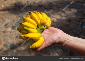 На Кубе маленькие бананы. Вкуснее, чем в Европе.