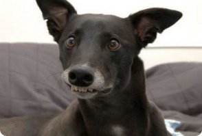 Дайте две 3-д подушки