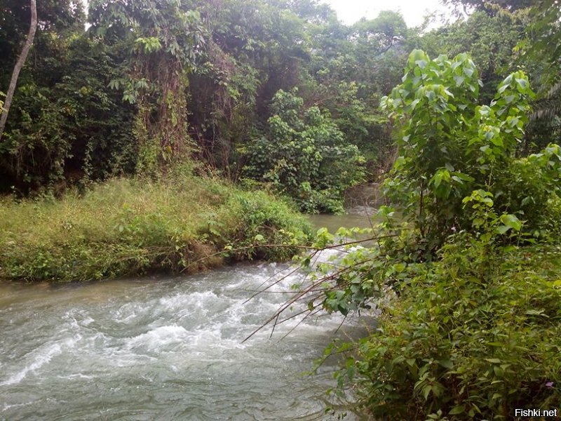 Был в Конго в 2014 году. 3 месяца там жил.Браззавиль и пригород .