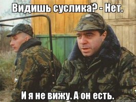 Найди сову! Эта птица невероятно хорошо замаскировалась