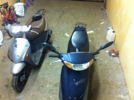 серый мой щя найду фото других)