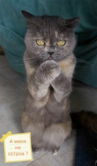 На этом острове запрещены выпивка, плохие вибрации и, конечно, мальчики