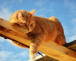 Фотоподборка за 08.02.2018