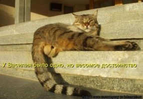 Картинки с надписями для настроения