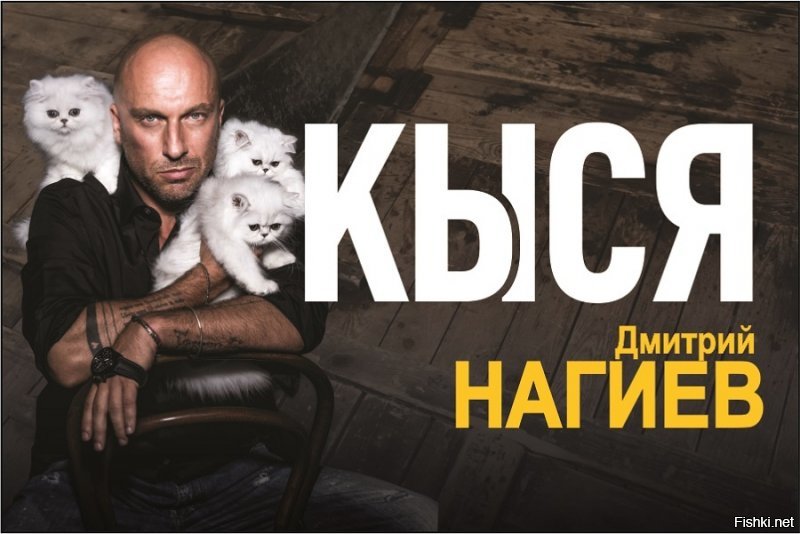 Не знаю на сколько Нагиев любит Кошек, но это часть постера Спектакля в котором он играет "Кыся"