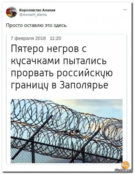 И что теперь с неграми?