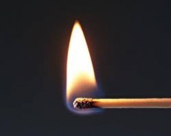 Рассекречен самый простой способ удаления неприятных запахов в туалете