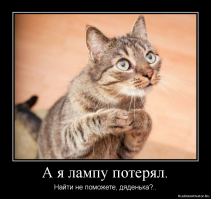 «Не время ещё умирать» или Невероятный случай из жизни участкового