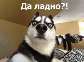 «Не время ещё умирать» или Невероятный случай из жизни участкового