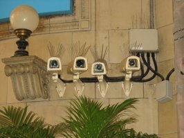 Камеры-чайки, говорите? А как насчёт таких шикарных ресничек?