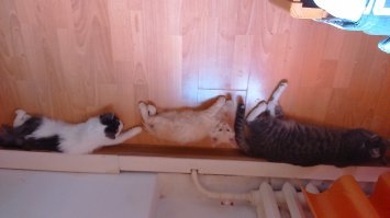 Ситуация сейчас.