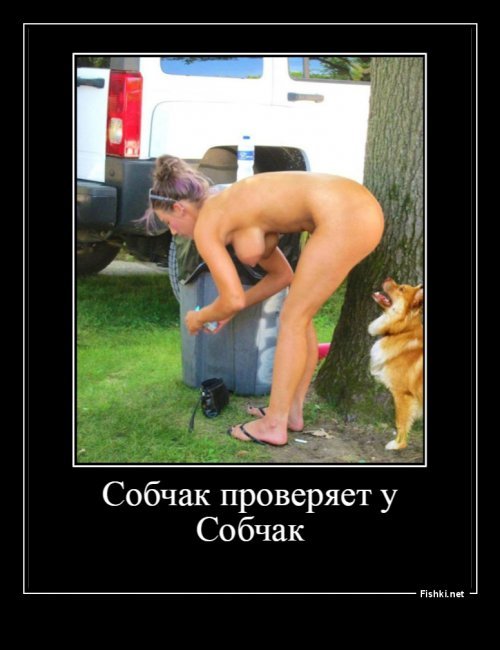 Политические коментарии соцсетей - 392