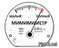 Вы видели, как ходят щенки маламута? эти меховые позитивные “ШАРИКИ” заставят вас улыбнуться