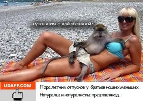 Что здесь происходит?