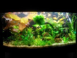 200 с панорамным стеклом.