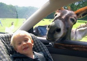 Люди и звери - звери как люди, люди как звери