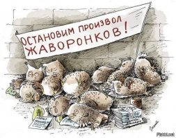 Как долго ещё будет продолжаться в обществе «жаворонковый фашизм»?