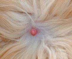 Главное чтобы не на такие