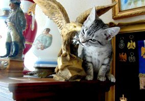 Злой охранник в музее...