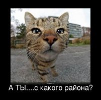 Да-а-а  уж)) Прикольно в таком городке вырасти и жить , по крайне мере хоть глаз не устаёт. Понятно дело и эта бы красота со временем приелась бы.....

Был бы так каждый город России застроен! Хотя здесь могла бы другая проблема возникнуть "Ты с какогу району пацанчик?? " 
Хотя она и так есть , но так бы встала особенно остро!