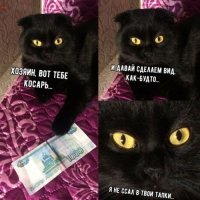 А потом кот говорит: