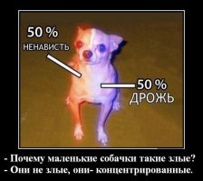 55 Пятничных ФиШуток