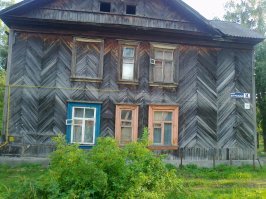 п.Новый Снопок  2011 год.110 км.от Москвы