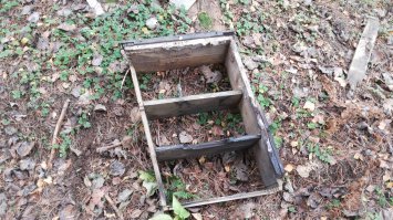 Смоленская область,Темкинский район