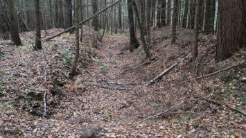 Смоленская область,Темкинский район