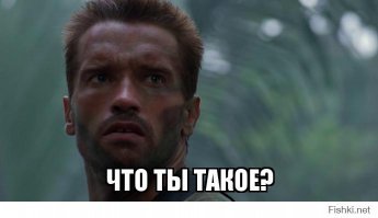 этого васи рядом как консультанта нету случайно))))