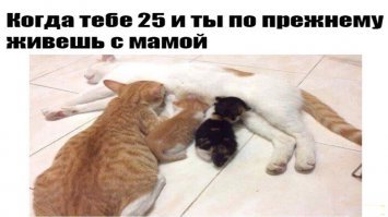 МАМЫ ПРЕКРАСНЫ !!!!