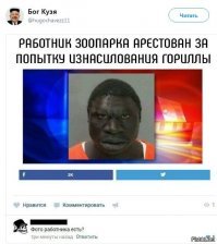 "Сразу видно, одна из них — на стероидах. Это, конечно, русская"