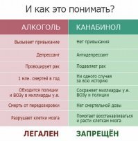 Страны, где легализована Марья Ивановна