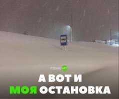 Что за борщ на горизонте?