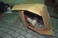 Картонный дом, который не боится холода и дождя и собирается за 1 день