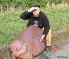 Как выяснила администрация университета, конкурс проходил в 2017 году под названием  Свиная прожарка . 

Источник:  © Fishki.net