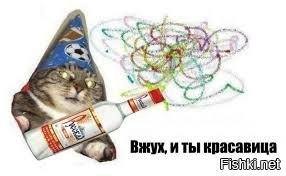 Студенты тайно соревновались в сексе с толстушками