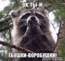 Сверхсекретная воинская часть