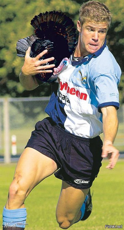 Спорт не для животных? Вы ошибаетесь!