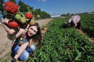 ВАУ кроме как "раком" способам сборки не обучены