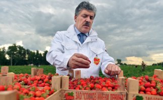 Не-а, Грудинькина !!!