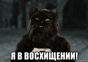 Про Васю
