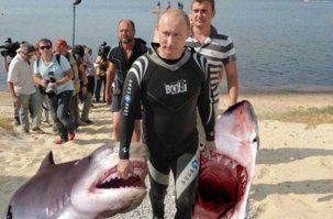 В Казахстане волк "восстал из мёртвых" и бросился на охотника