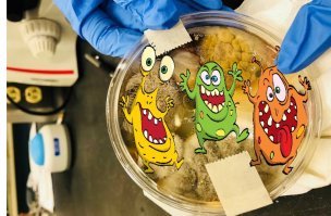 Американка показала ужасающую правду о сушилках для рук